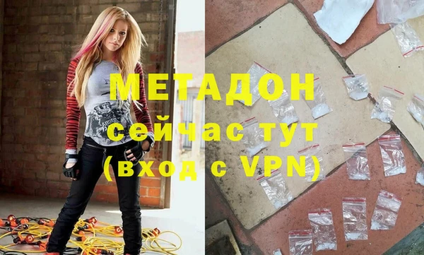 индика Алексин