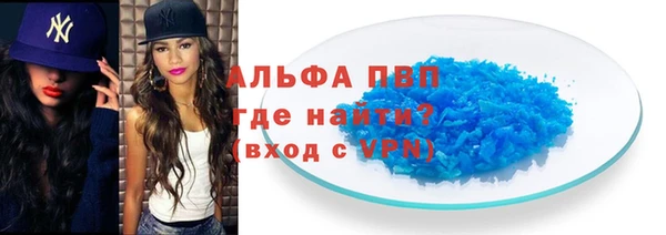 индика Алексин