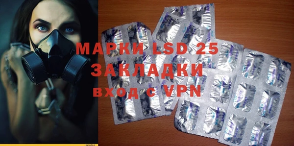 индика Алексин