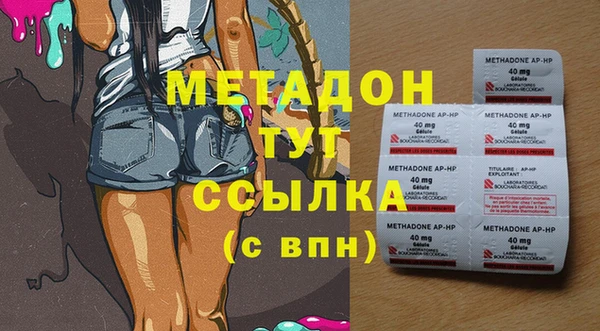 индика Алексин