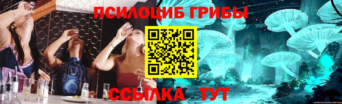 Псилоцибиновые грибы Cubensis Благовещенск